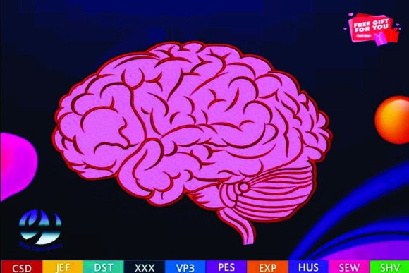 Anatomical Brain Embroidery: A Designer’s Review